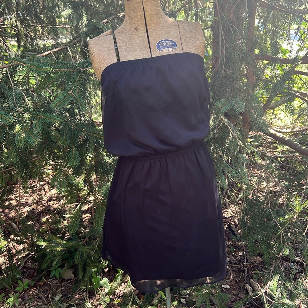 Express Strapless Dress